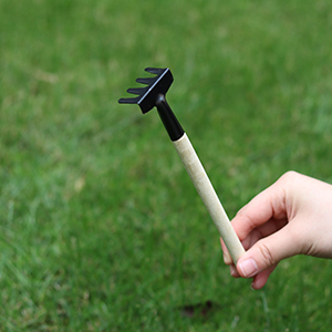 Perfetto per piantine