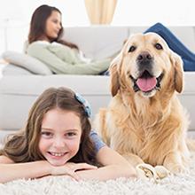 给生活带来便利