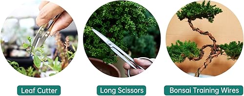 Set di attrezzi per bonsai, kit da 16 pezzi con 4 forbici, 3 taglierine, 1 gancio, 1 rastrello, 1 scopa, 5 fili, regali di giardinaggio per donne e uomini - Honorern