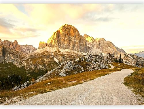 Carta da parati Paesaggio 450x315 cm Fotomurali in TNT Murale alla moda Decorazione da Muro XXL Poster Gigante Design Carta per Pareti Pre Natura b-B-0621-a-a - Honorern